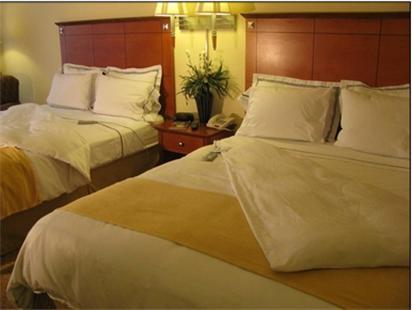 Charleston Airport Hotel North Charleston Room photo